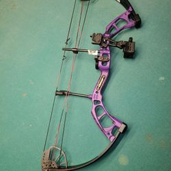 Bear Cruzer Archery Bow
