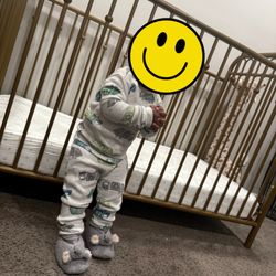 Gently Used Gold Crib (Wayfair)