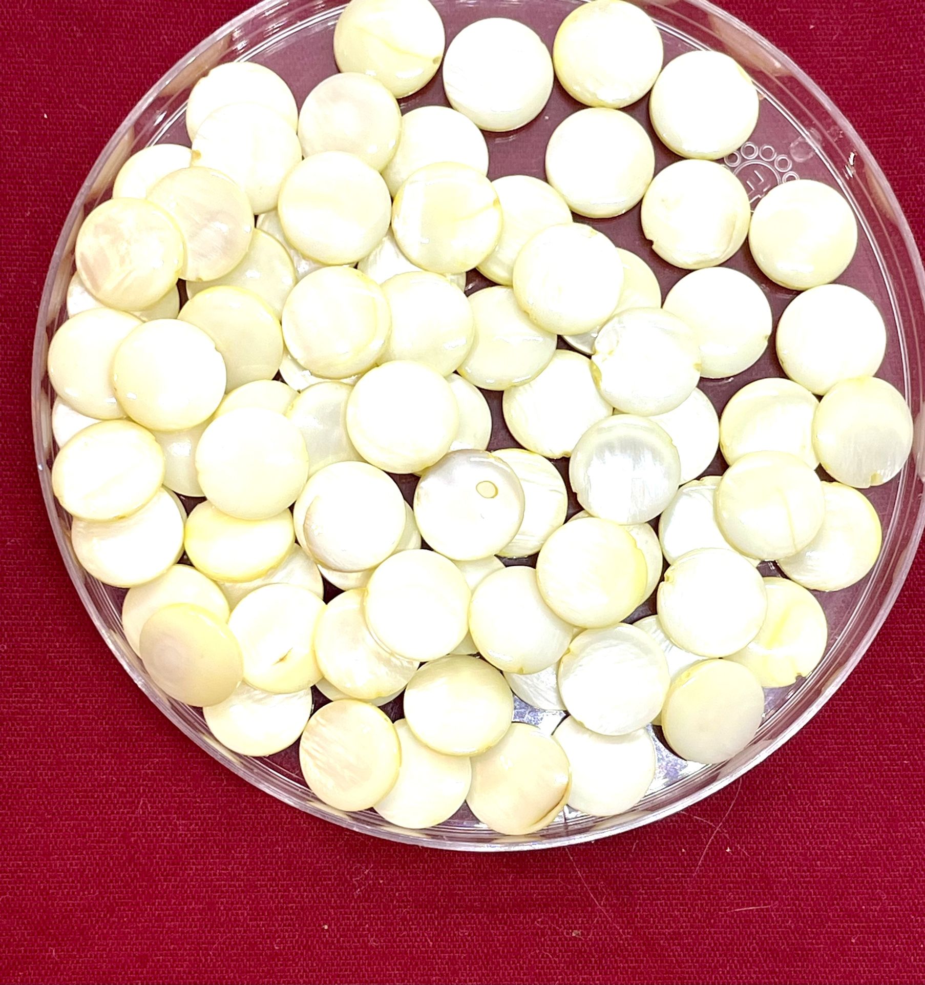 Lot Of Mother Of Pearl Coin Beads