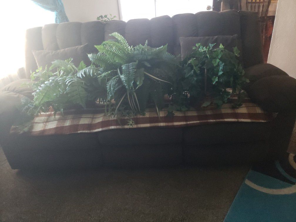 Three Fake Plants