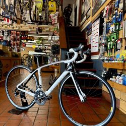 Specialized - Road Bike - Carbon Frame