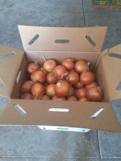 Organic Jumbo Onions