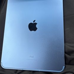 iPad 