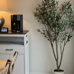 Olive Tree