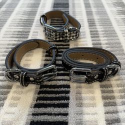 Dog Collars