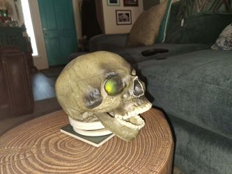 Halloween skeleton head