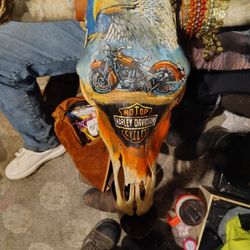Longhorn Bull Head