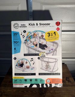 New 3-1 bassist/play yard