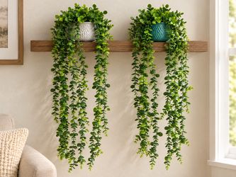 🌿 New Set of 2 Faux Trailing Peperomia Plants in Ceramic Pots 🌿 $25 for the pair