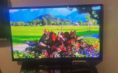 TV 65”