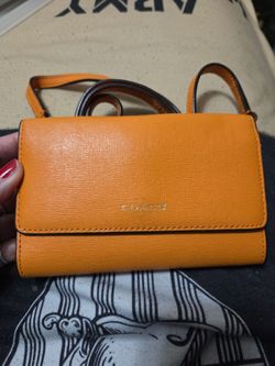 Mini coach bag