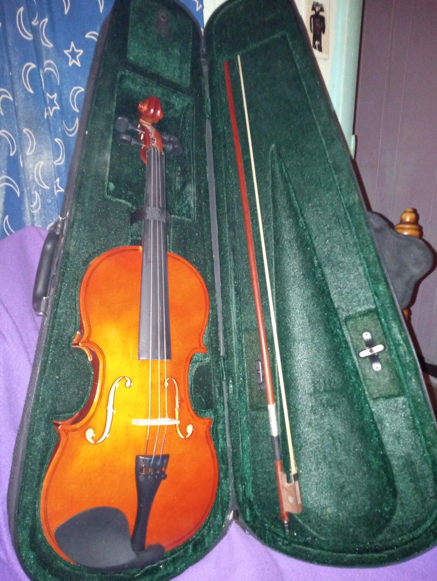 🎻 Violin
