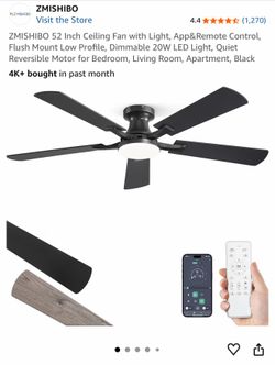Ceiling fan