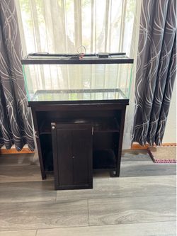20 gallon long fish tank