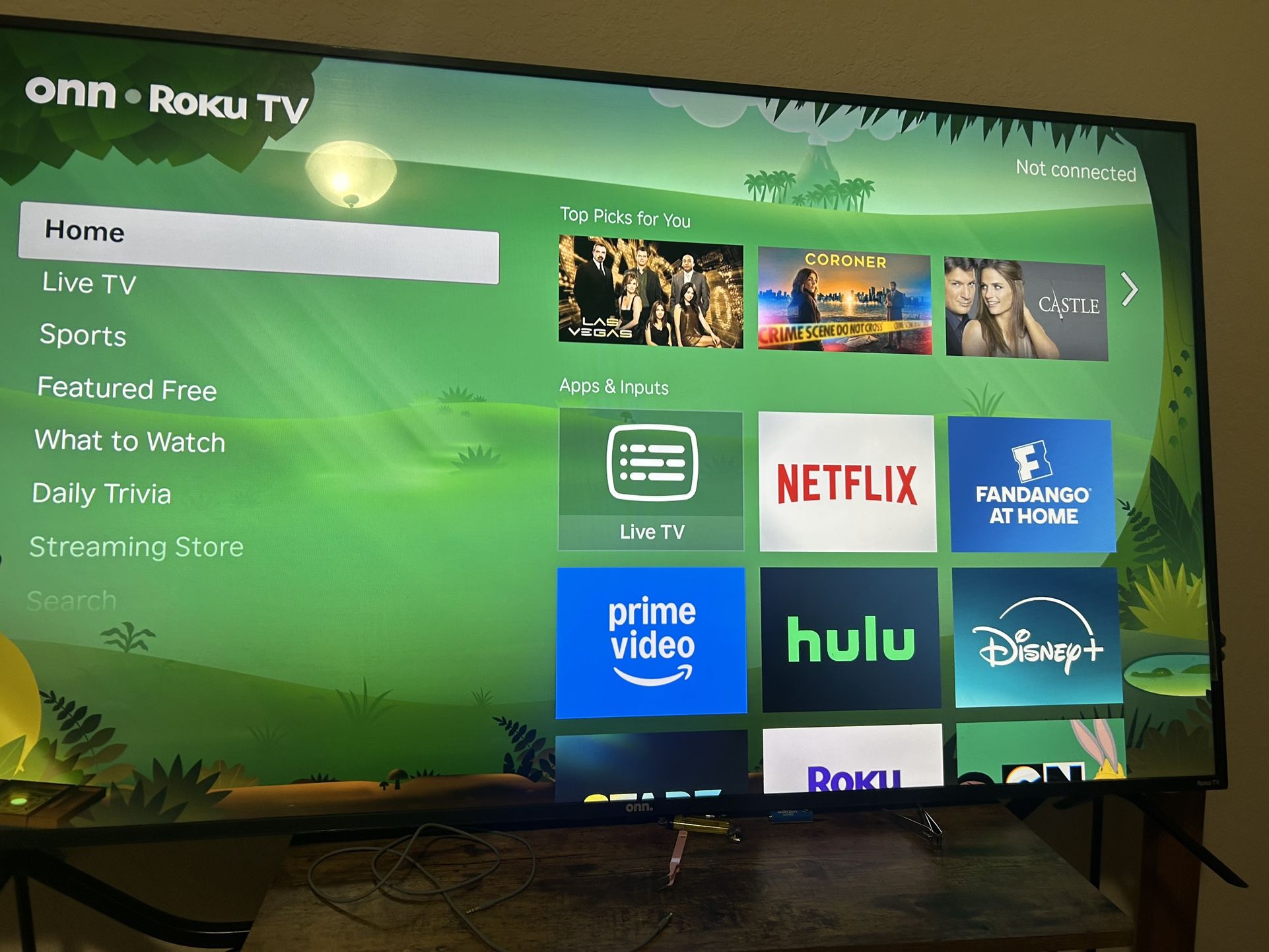 65’ Roku Tv
