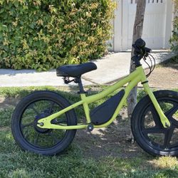 MASSIMO Electric Bike