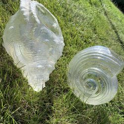 Glass Sea Shell Decor