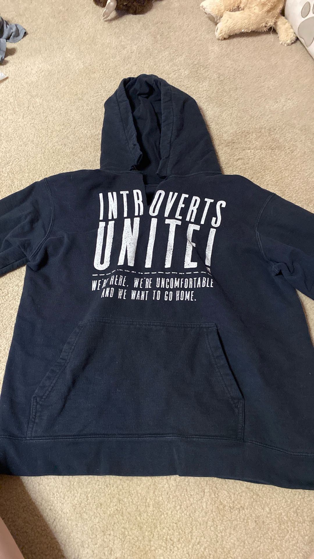 Introverts Hoodie