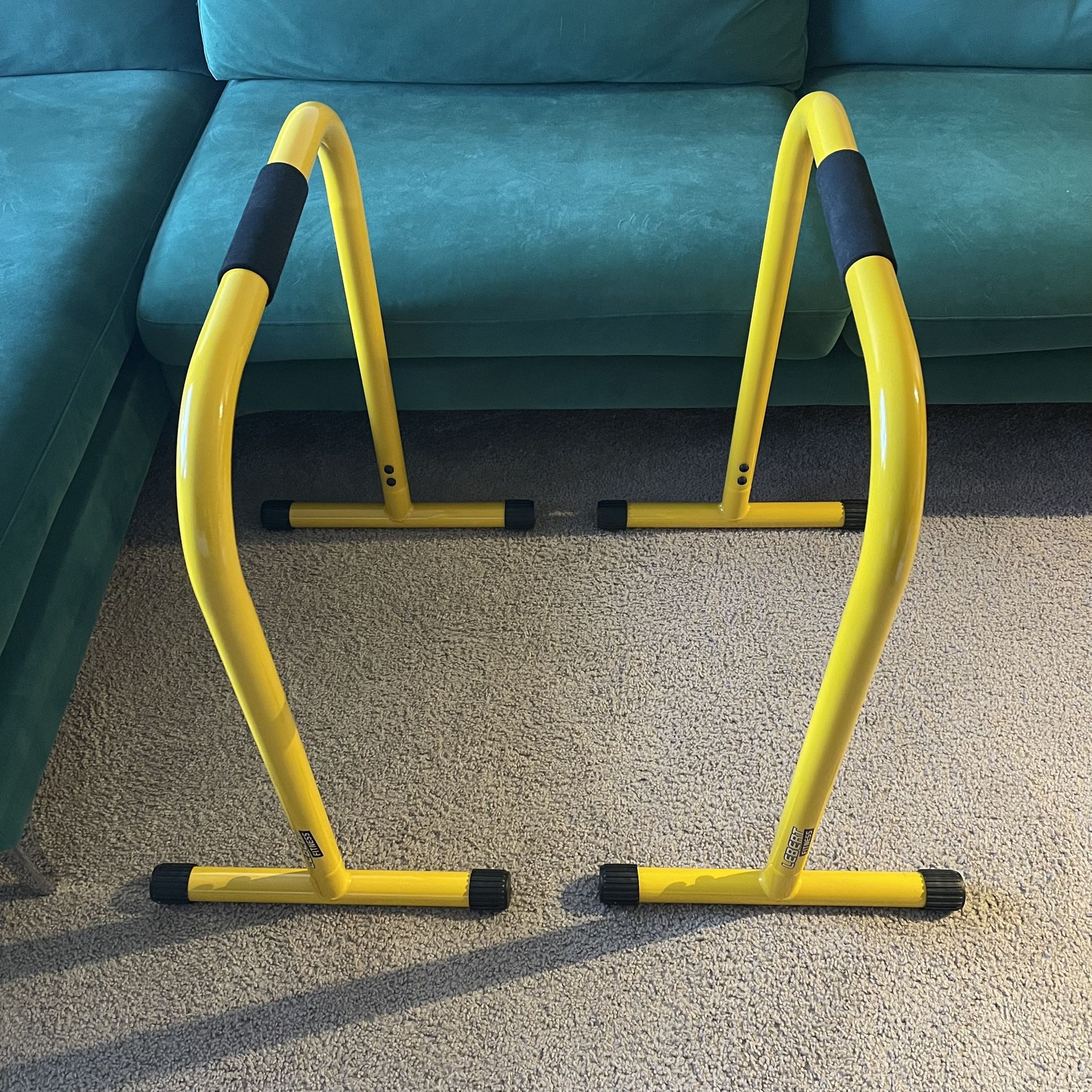 Exercise Equipment - Dip Bars