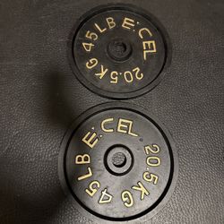 45 Lb Olympic Weight Plates Pair