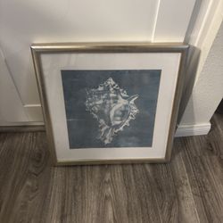 Wall Decoration Seashell