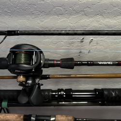 Baitcaster & Daiwa Performance Fast Action