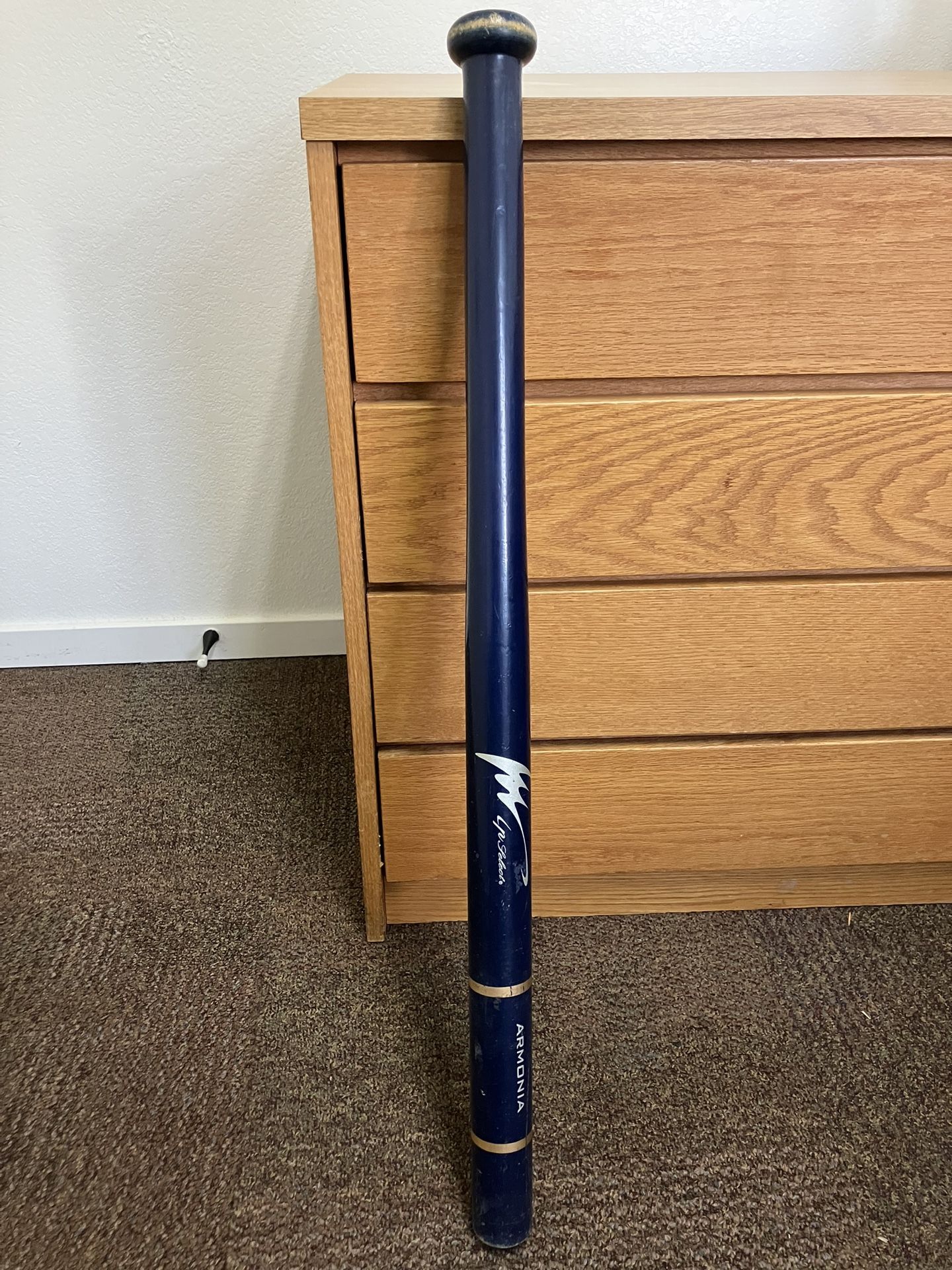 Baseball Training Bat
