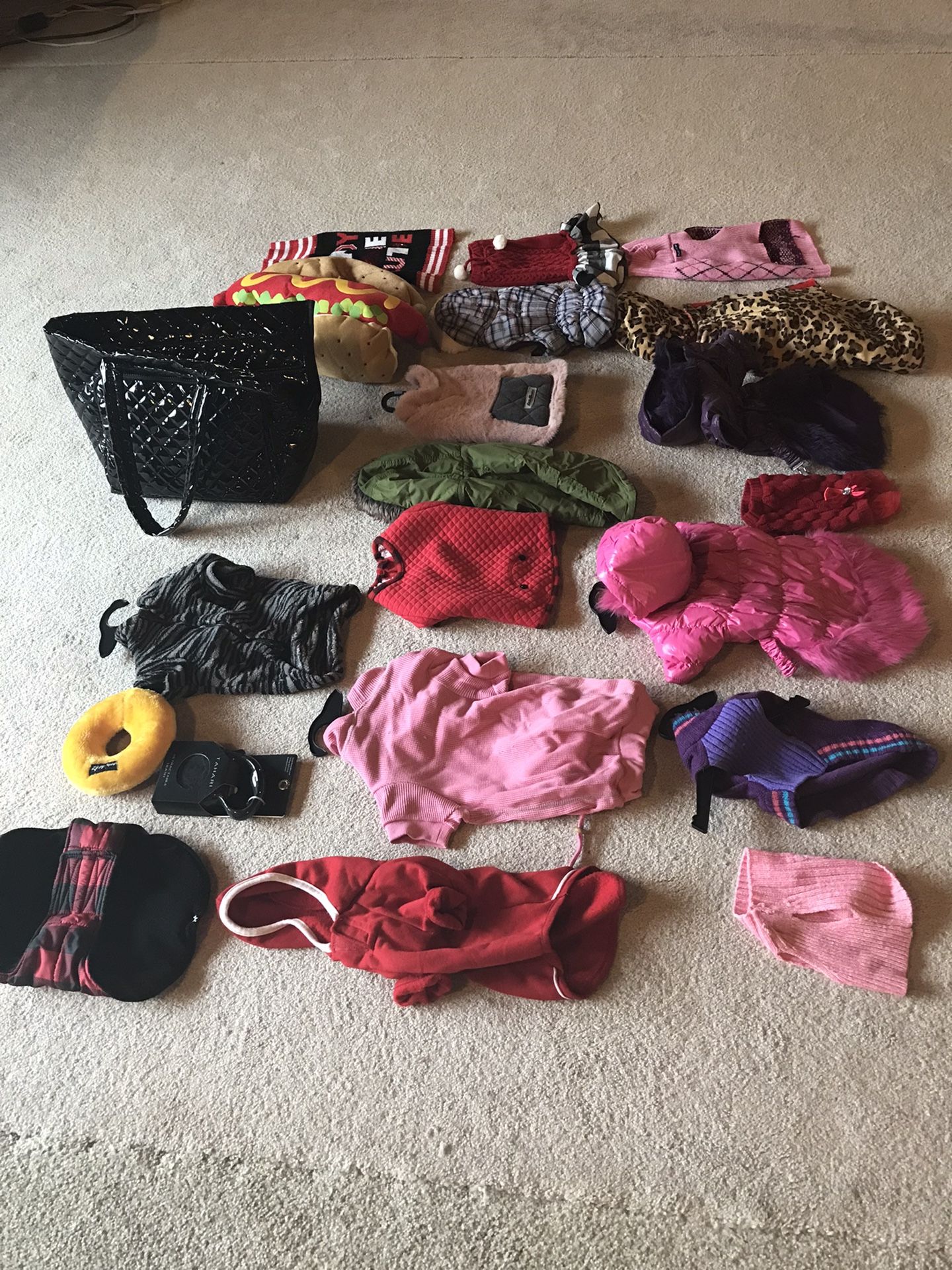 Small Female Dog Clothing New/Used