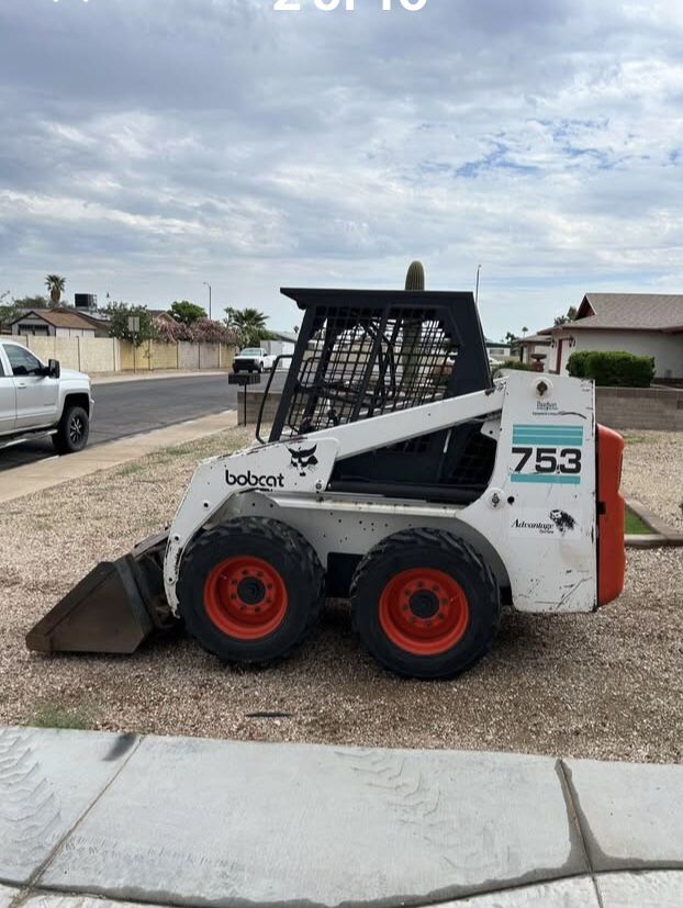 Bobcat