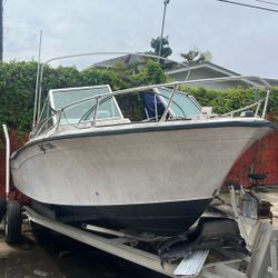 Gradywhite 20ft Boat Needs Transom And Has Some Soft Spots 