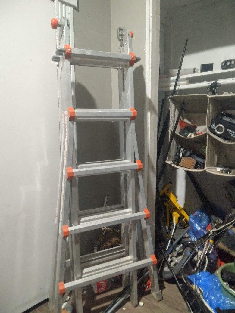 Gorilla Ladders