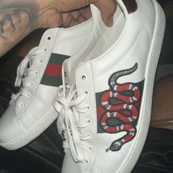 Gucci Men Size 12 