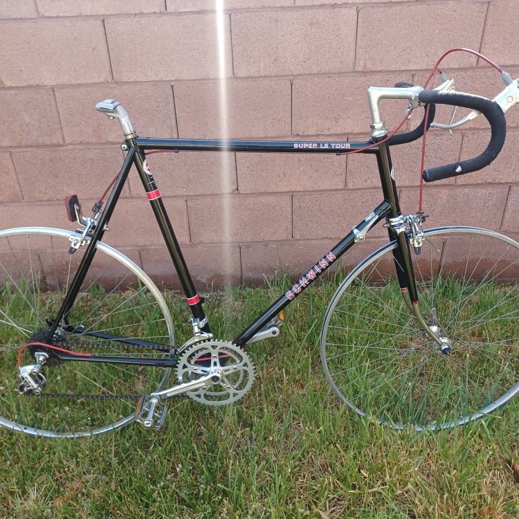 Schwinn vegetarian super le tour value