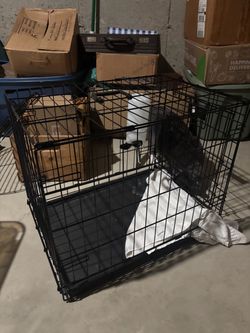 Free small animal cage