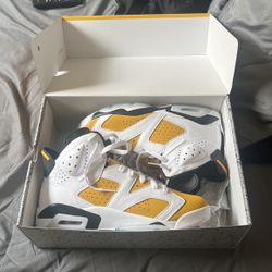 Jordan 6