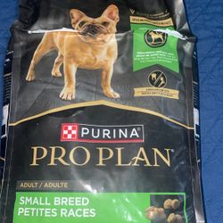 Dog Food 6 Lbs 