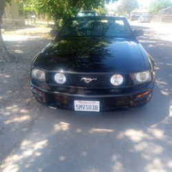 Mustang Convertible GT 2005