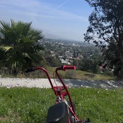 FLR mini bike scratched paint