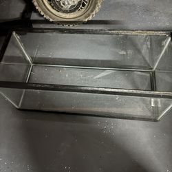 20 Gallon Fish Tank