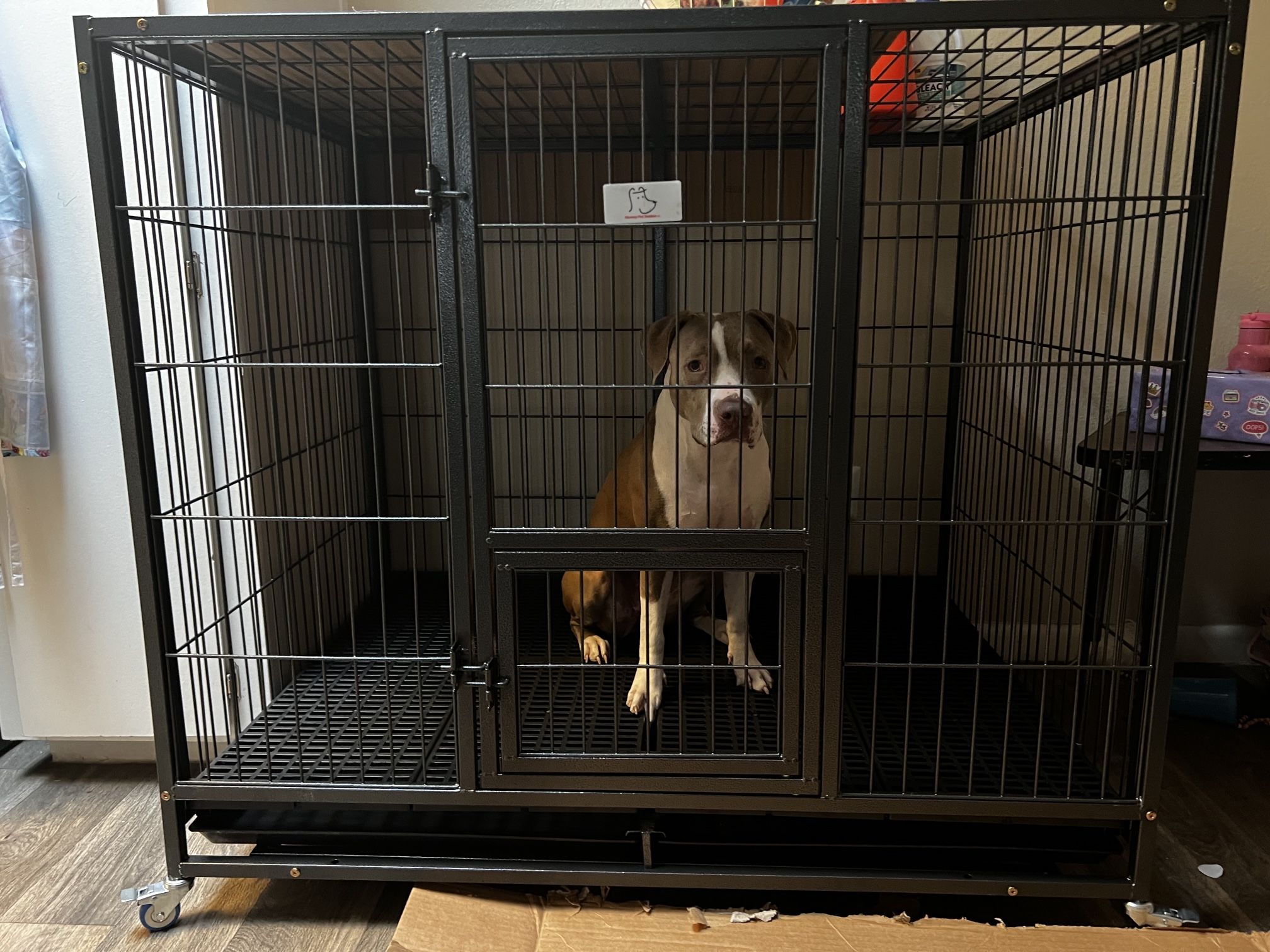Custom Built Kennel 