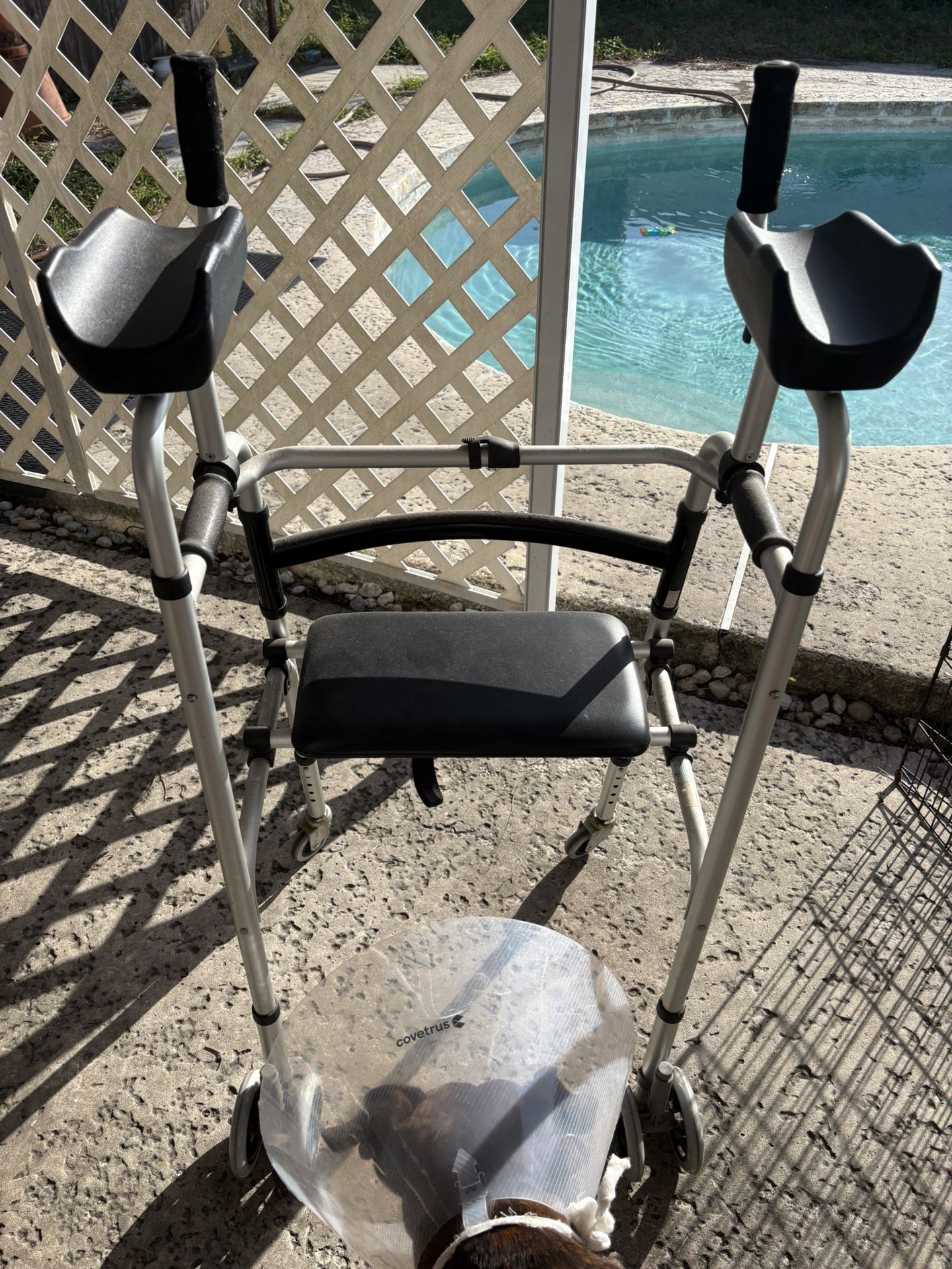 Upright Walker with Seat – Great Condition!