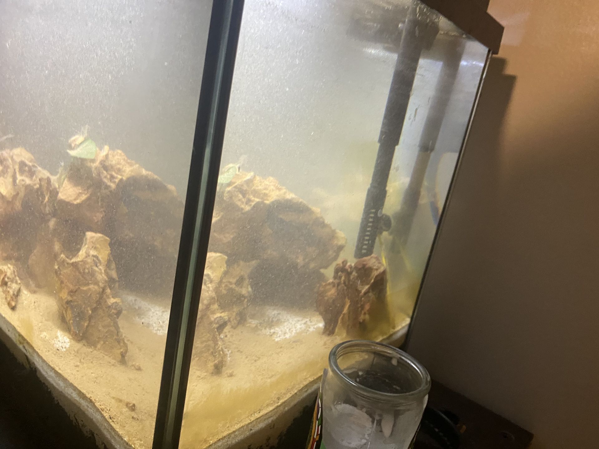 10 gallon fish tank 
