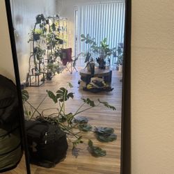 Beautiful Full Length Good Quality Mirror For Sale !!