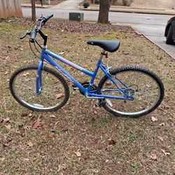 Blue bicycle