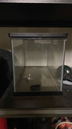 Reptile tank