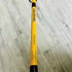 Daiwa FT Boat Series 7ft 20-40lb fishing rod with daiwa Sweep Fire 3550 fishing reel combo $120