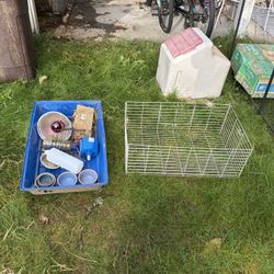 FREE Domestic Rabbit Bunny Kit