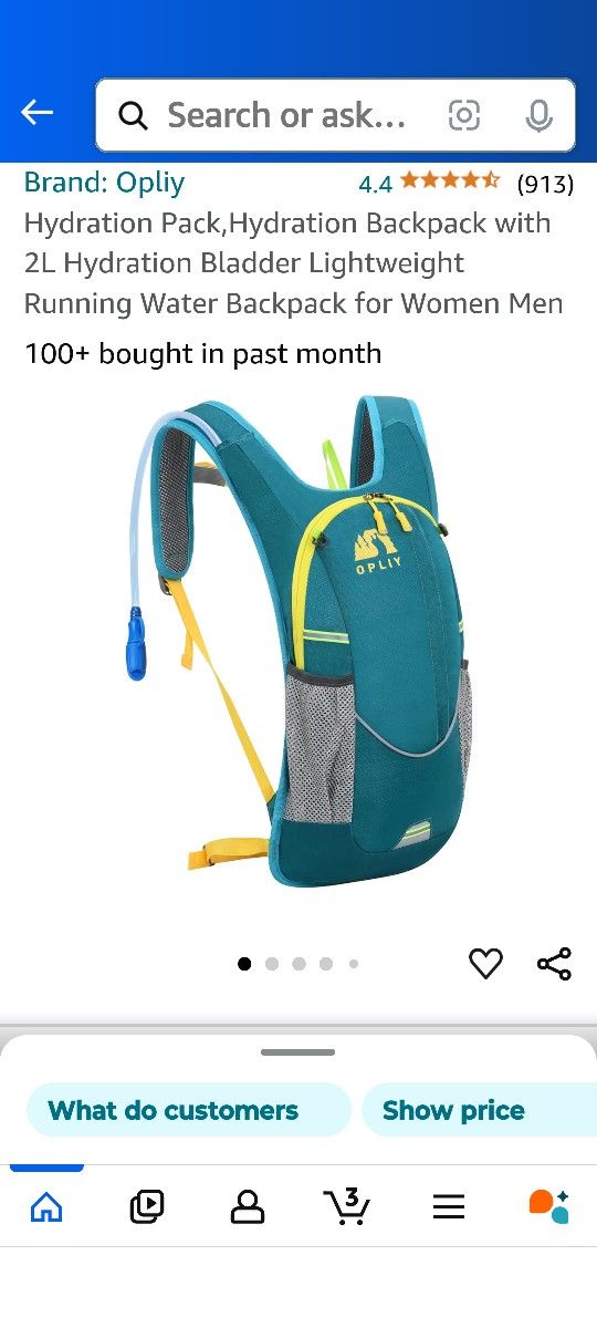 Bike/ Day Hike/Festival Pack *NO WATER BLADDER*