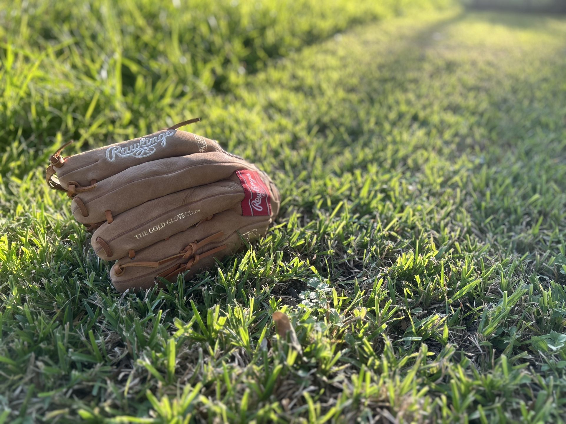 Softball & Baseball Gloves