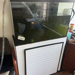 Aquarium, 58 Gallon Set Up, Filters, Sump, Media, Pumps
